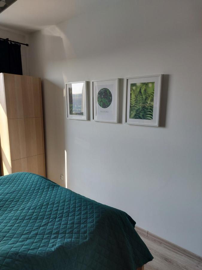 Апартаменты Apartament Przy Stadionie Гданьск Экстерьер фото
